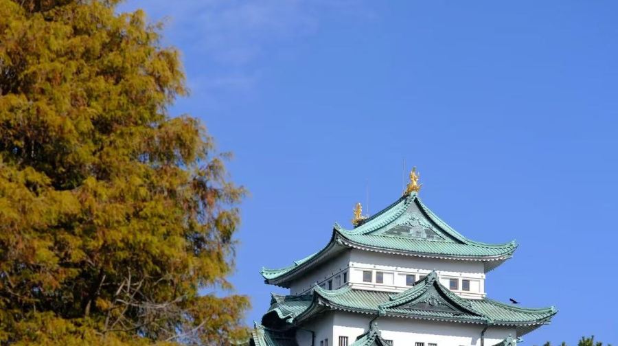 日本名古屋市區經典一日遊【中文服務/行程定制】