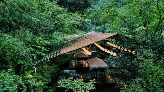 HikoneTours