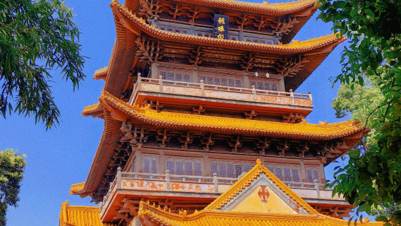 景德鎮禦窯博物館半日遊【含預約+陶陽裡團隊門票+人員導覽】