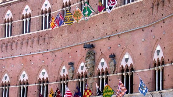 Palazzo Pubblico: Civic Museum Entry Ticket