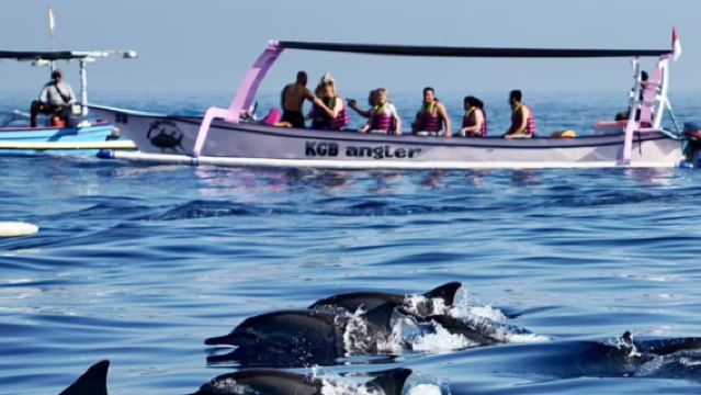 Lawatan Sehari Menjejak Lumba-lumba di Lovina Bali + Gunung Berapi [Pemandu Pelancong Berbahasa Cina + Kenderaan Persendirian + Makan Tengah Hari]