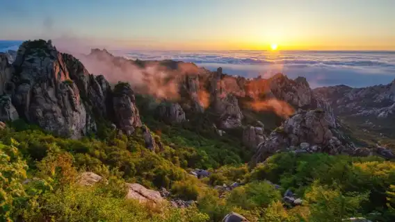 中國全境各大城市|翻譯/導遊/地陪|商務翻譯|遊玩陪同|多語種|你想要的我都滿足