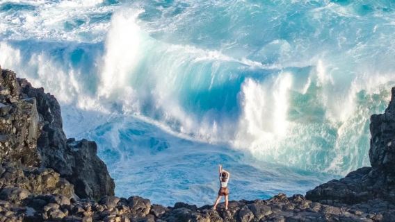 モーリシャス スピードボートでイルカ追跡+ポン ナチュレル 4WDツアー+ブルー・ベイ グラスボート【送迎+昼食付き】