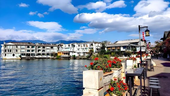 Guida professionale di Dali con lingua del servizio opzionale (cinese/inglese/giapponese/coreano)