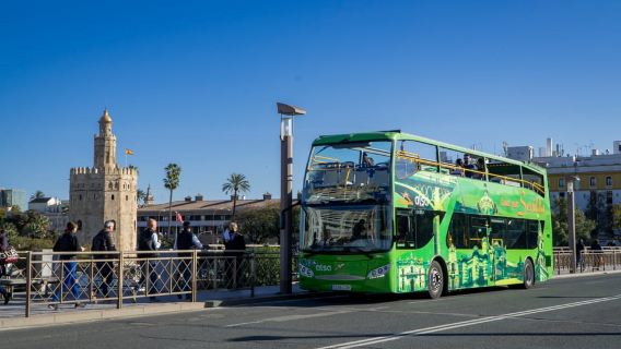 Kombi: Hop-on-Hop-off + Flamenco-Show & Rundgänge