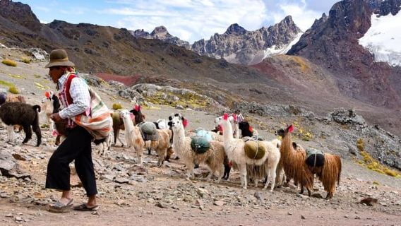 Ab Cuzco: Tour zu 7 Lagunen + Frühstücks- und Mittagsbuffet
