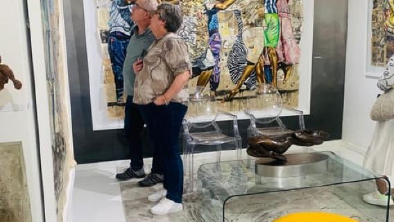 Visita a la galería de arte de Johannesburgo con Toura Travel Therapy