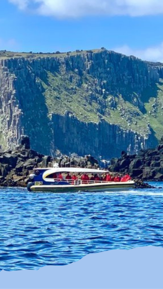 Tasman Peninsula 3-hour wilderness cruise full day tour