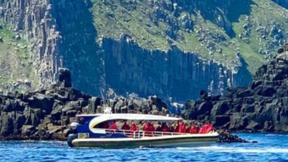 Tasman Peninsula 3-hour wilderness tour Full day tour