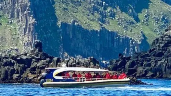 Tasman Peninsula 3-hour wilderness cruise full day tour