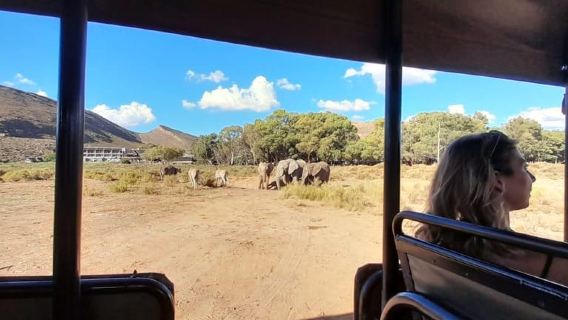 Dari Cape Town Aquilla sunset safari Dengan transportasi termasuk