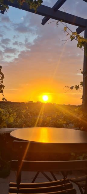 Santorini Wine & History Tour with 3 Expert Sommeliers