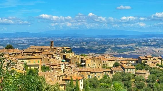 Firenze: tour del vino Brunello con pranzo in cantina