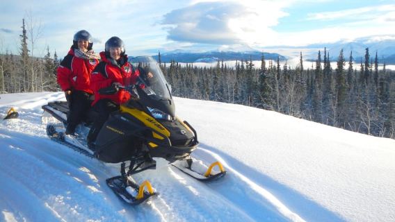 Yukon: Lawatan Kereta Salji Separuh Hari