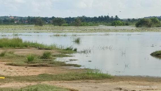 Nilaveli : Lac aux crocodiles avec safari en bateau sur le lagon