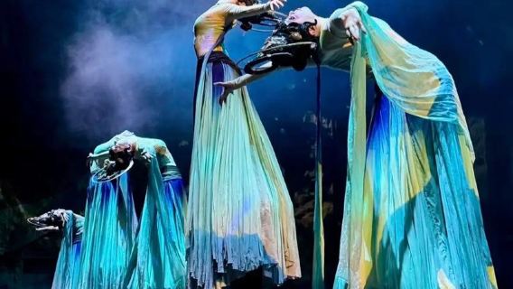 1-day tour with guide at The Luoyang Museum of Ancient Tombs (private tour with admission ticket included) + TRACING LUOSHEN FU admission ticket