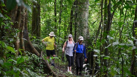 PENJELAJAHAN HUTAN "DANAU TAMBLINGAN SUCI"
