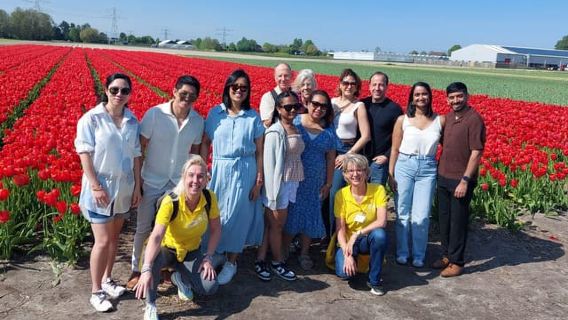 Depuis Lisse : visite à vélo des champs de fleurs de Keukenhof