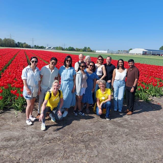Da Lisse: tour in bicicletta dei campi di fiori di Keukenhof