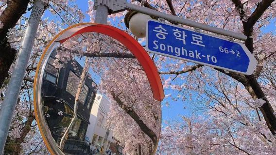首爾天空公園月尾島一日遊：天空公園、月尾島、北村韓屋村、明洞