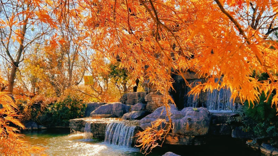 Nikmati Musim Gugur di Nanjing: perjalanan satu hari ke Kuil Qixia dan Gunung Qixia