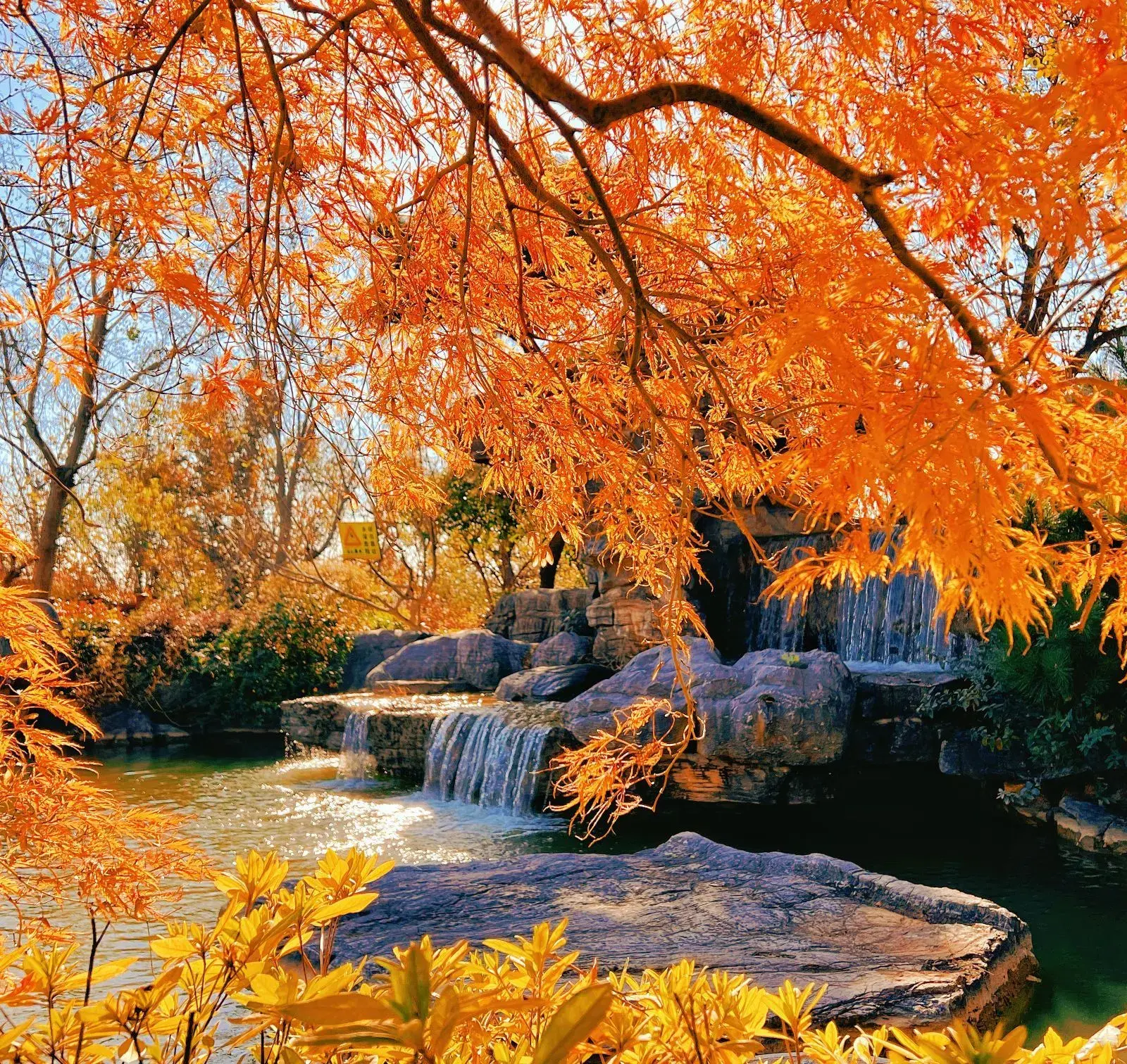 [Autunno a Nanchino] Tour di un giorno al Tempio Qixia e alla Montagna Qixia