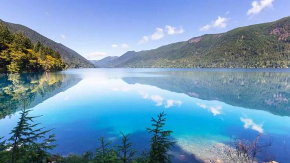 Seattle-Pulau Bainbridge|Lawatan sehari Taman Negara Olimpik (Berlepas setiap hari)