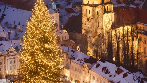 【法國聖誕限定之旅】「聖誕之都」斯特拉斯堡+聲光秀+品熱紅酒