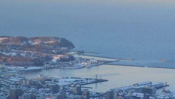 Excursión de un día de Sapporo a Otaru (conductor chino + itinerario ajustable)