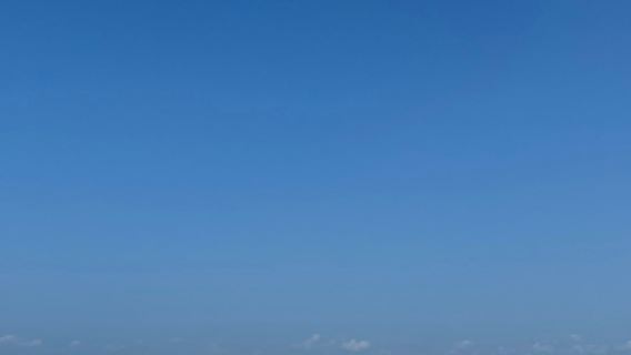 잔지바르: 돌고래와 함께 수영하는 당일 여행