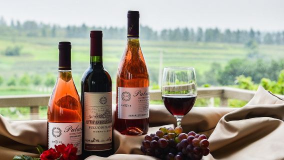 Bordeaux, France - Château Beychevelle - Château Lascombes - Château Pichon Baron Private Charter Day Tour