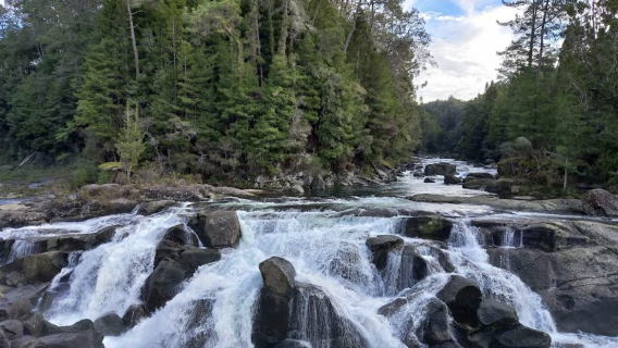 新西蘭奧克蘭-漢密爾頓&陶朗加芒格努伊【中文專車-愜意舒適】