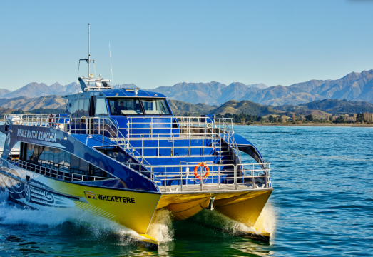 Whale Watch Kaikoura Experience with Optional VIP Viewing Cabin (Close-up Whale Watching, Over 95% Success Rate)