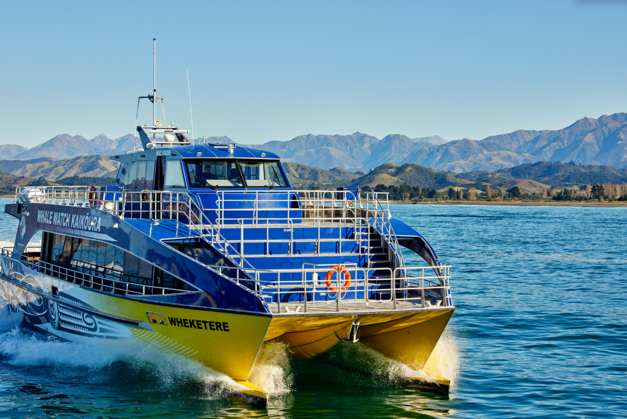 Whale Watch Kaikoura Experience with Optional VIP Viewing Cabin (Close-up Whale Watching, Over 95% Success Rate)
