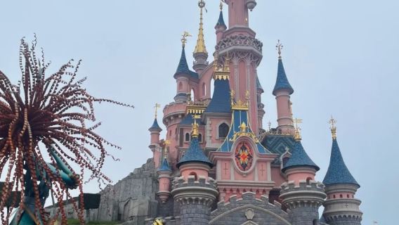 Disneyland Paris + Walt Disney Studios Park 1-day tour, including 2-park pass + round-trip transfer · No guide
