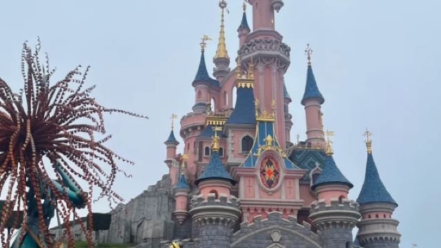 Disneyland Paris + Walt Disney Studios Park 1-day tour, including 2-park pass + round-trip transfer · No guide