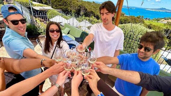 Waiheke Island Wine Tour with Scenic Vineyards & Tastings