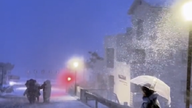 【春節預售】火炬八街+布魯維斯等網紅打卡點+鷗糧+氛圍感