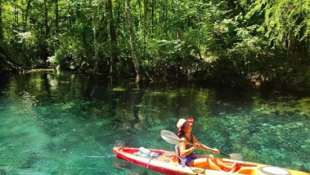 美國奧蘭多+銀泉州立公園+冬日公園一日遊/可定制可調整