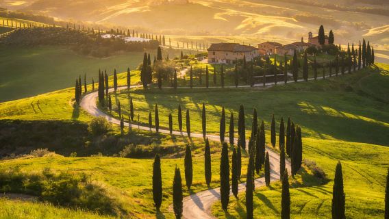 Lawatan Sehari Berkumpulan Kecil di Tuscany, Itali