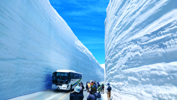 日本長野出發 | 立山黑部震撼「雪牆」阿爾卑斯山脈路線1日遊