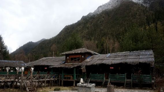 Lawatan sehari di Nyingchi Milin Nanyi Valley Kampung Budaya Luoba + Lembah Ubat (Tidak termasuk tiket masuk)