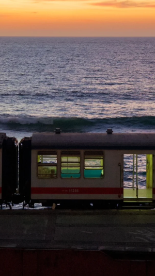 スリランカ｜千と千尋の神隠しの海辺列車+ガル+高床式漁師+ミリッサのココナッツ林 ワンデー