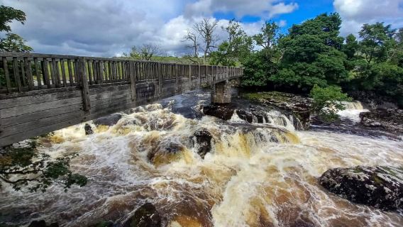 Da York: Escursione di un giorno a Herriot e Yorkshire Dales