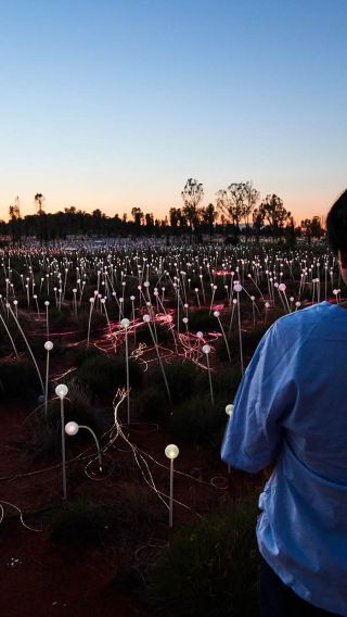北領地烏魯魯Field of Light原野星光展+看日出