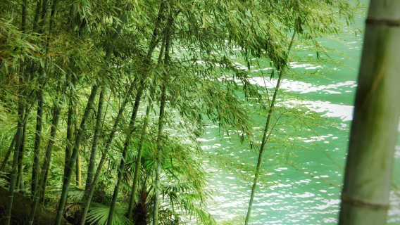 Départ de Hangzhou : Excursion d'une journée à la vallée du vent de Lin'an + grand canyon de l'ouest du Zhejiang en voiture avec chauffeur