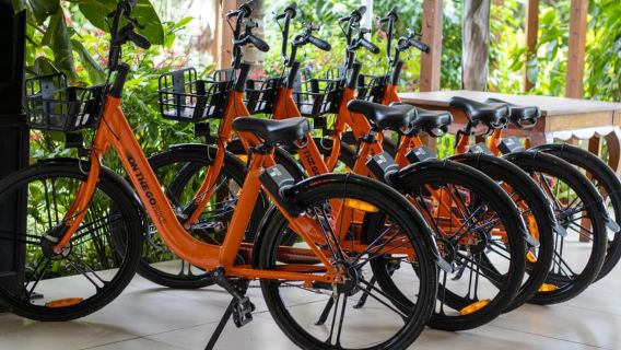 Paje: Full-Day Bike Rental with Helmet and Lock
