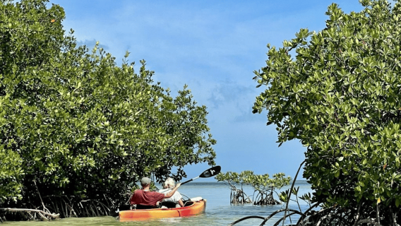 Sarasota: Mangrove and Midnight Pass Beach Tour-Siesta Key