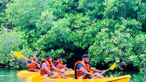 Hikkaduwa: Guided Mangrove Kayaking Tour with Wildlife