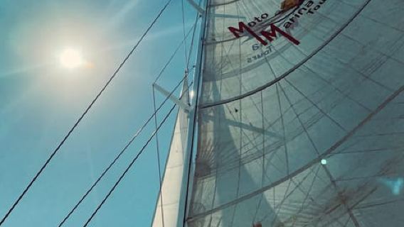 Samaná: Catamaran Boat Tour with Snorkeling and Lunch